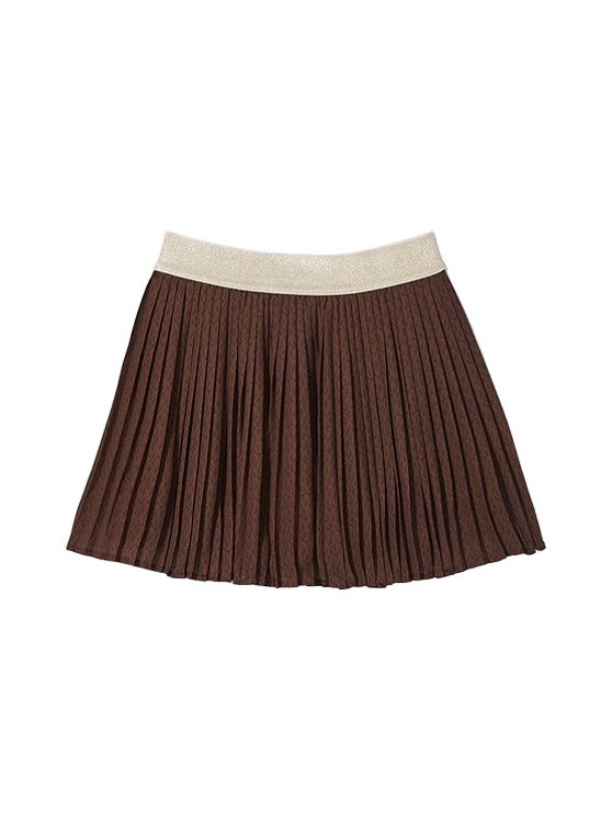 Pleated Skirt