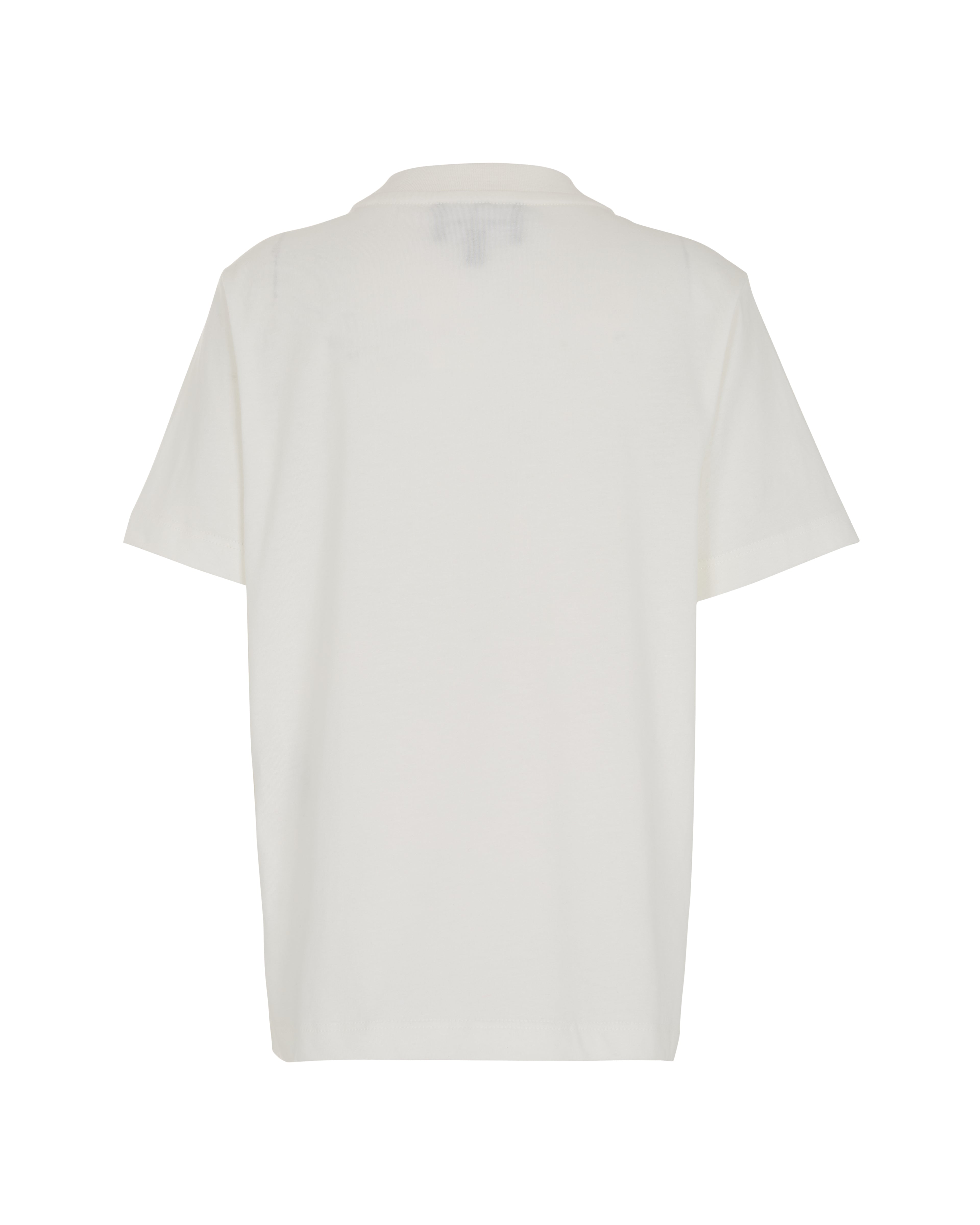 Organic Cotton Jersey T-Shirt with Logo Emporio Armani