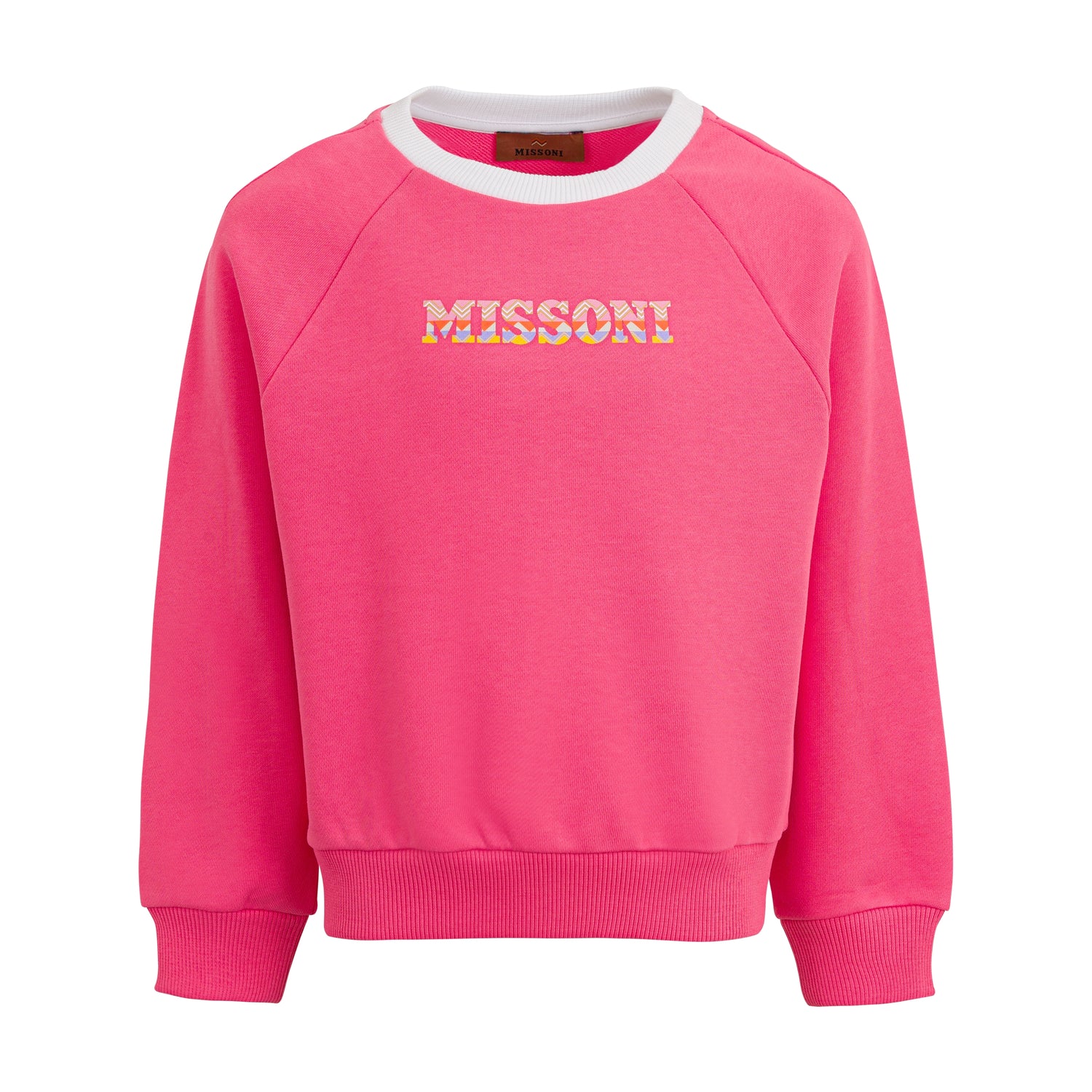 Logo Embroidered Sweatshirt
