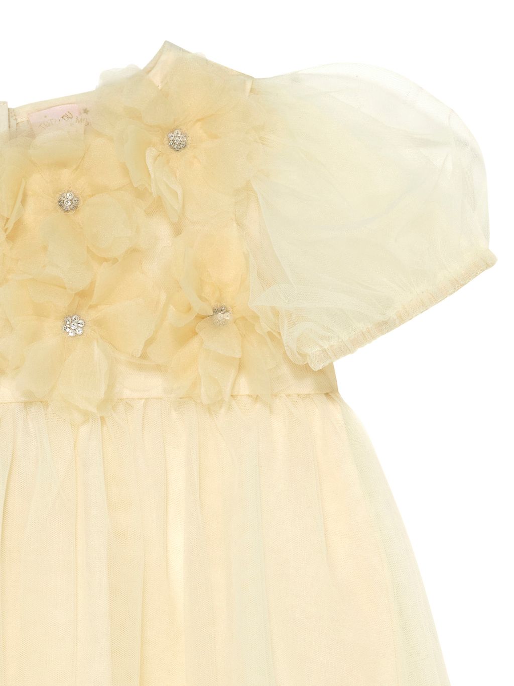 Bebe Camellia Tulle Dress
