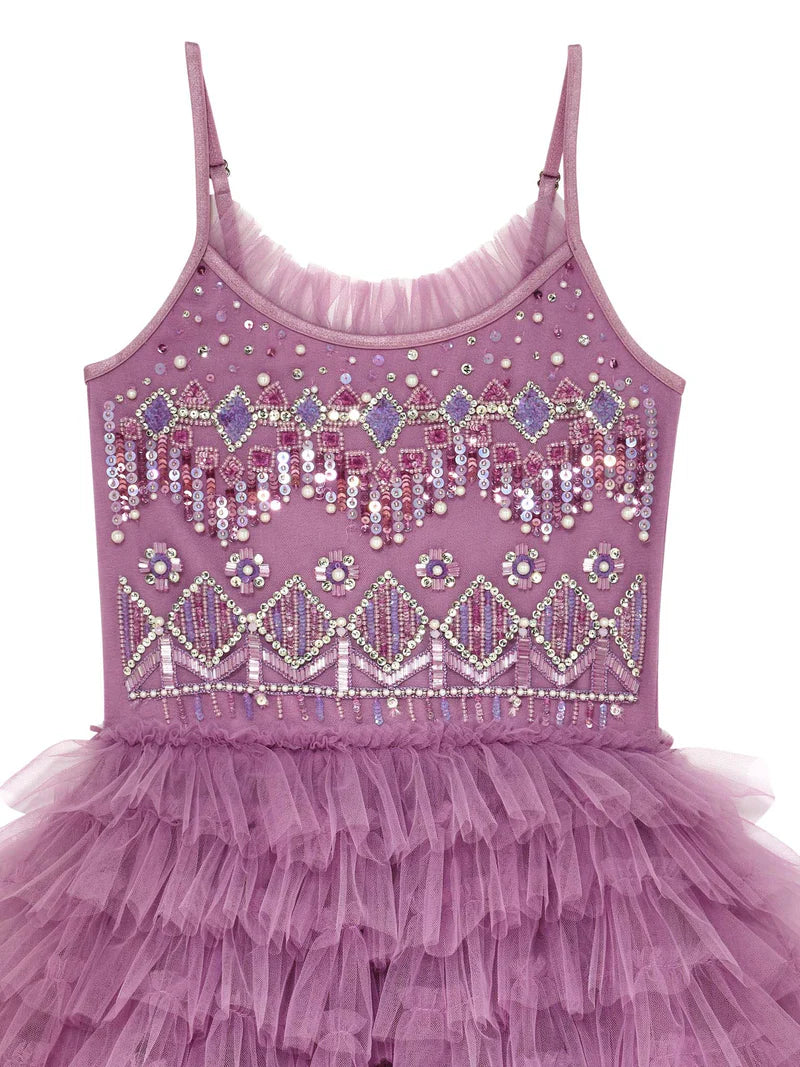 Velvet Vision Tutu Dress