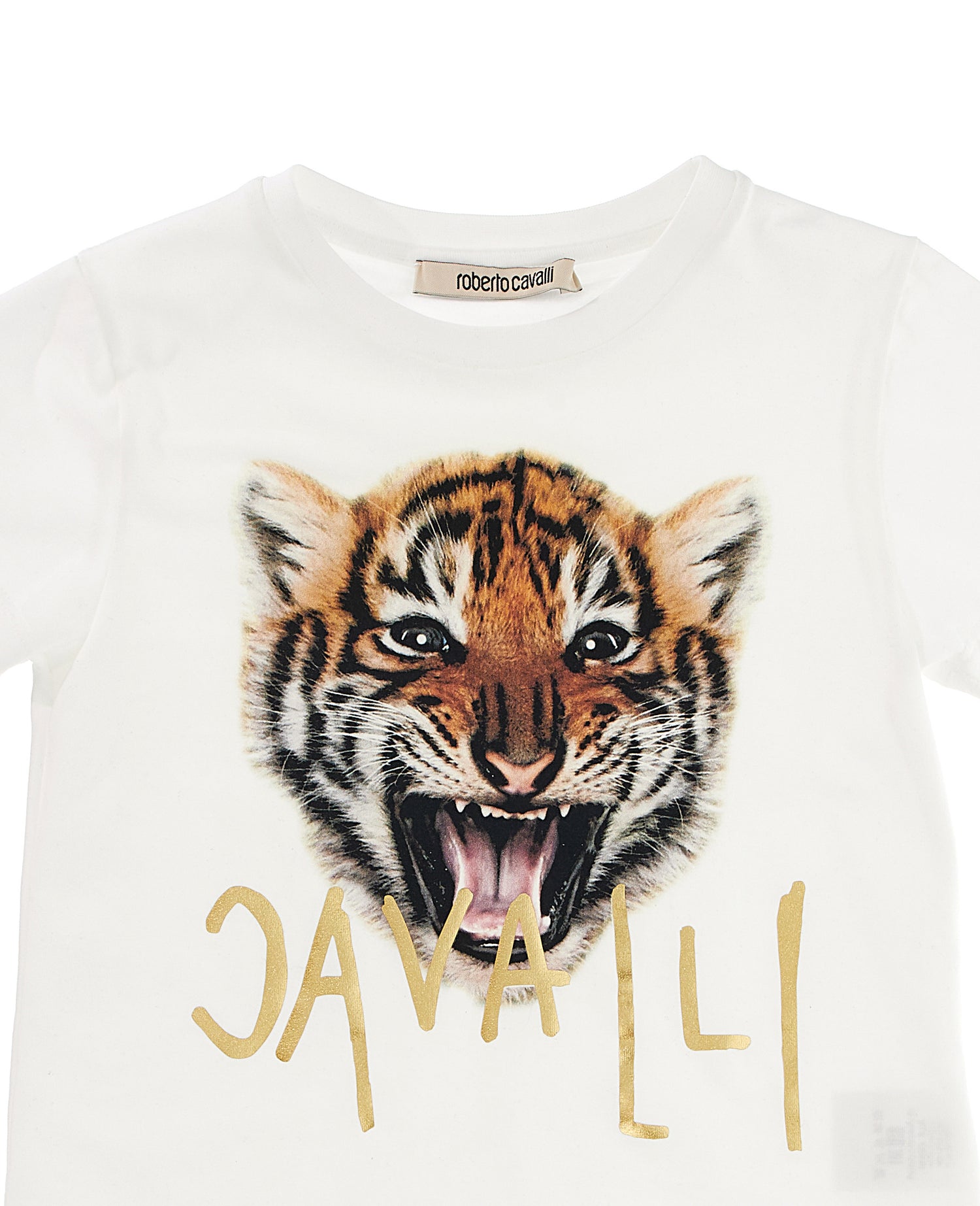 Tiger T-Shirt