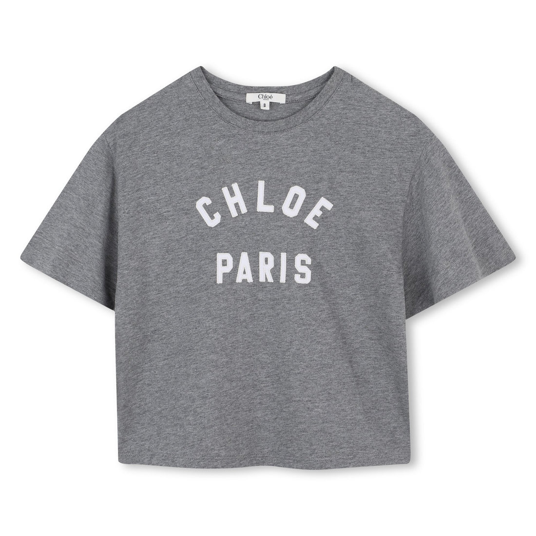 Grey Cotton Short Sleeve T-Shirt with Paris Logo Print