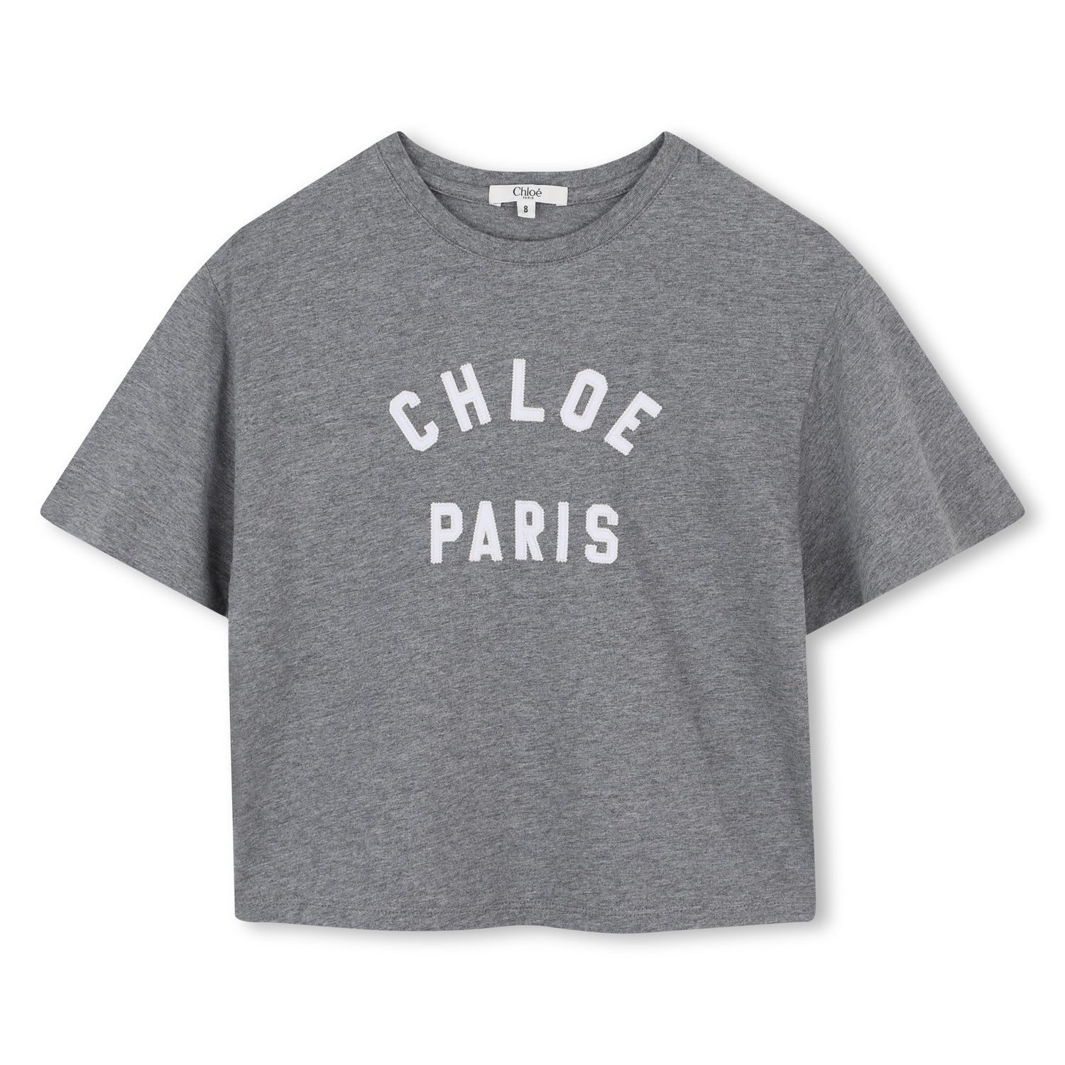 Grey Cotton Short Sleeve T-Shirt with Paris Logo Print