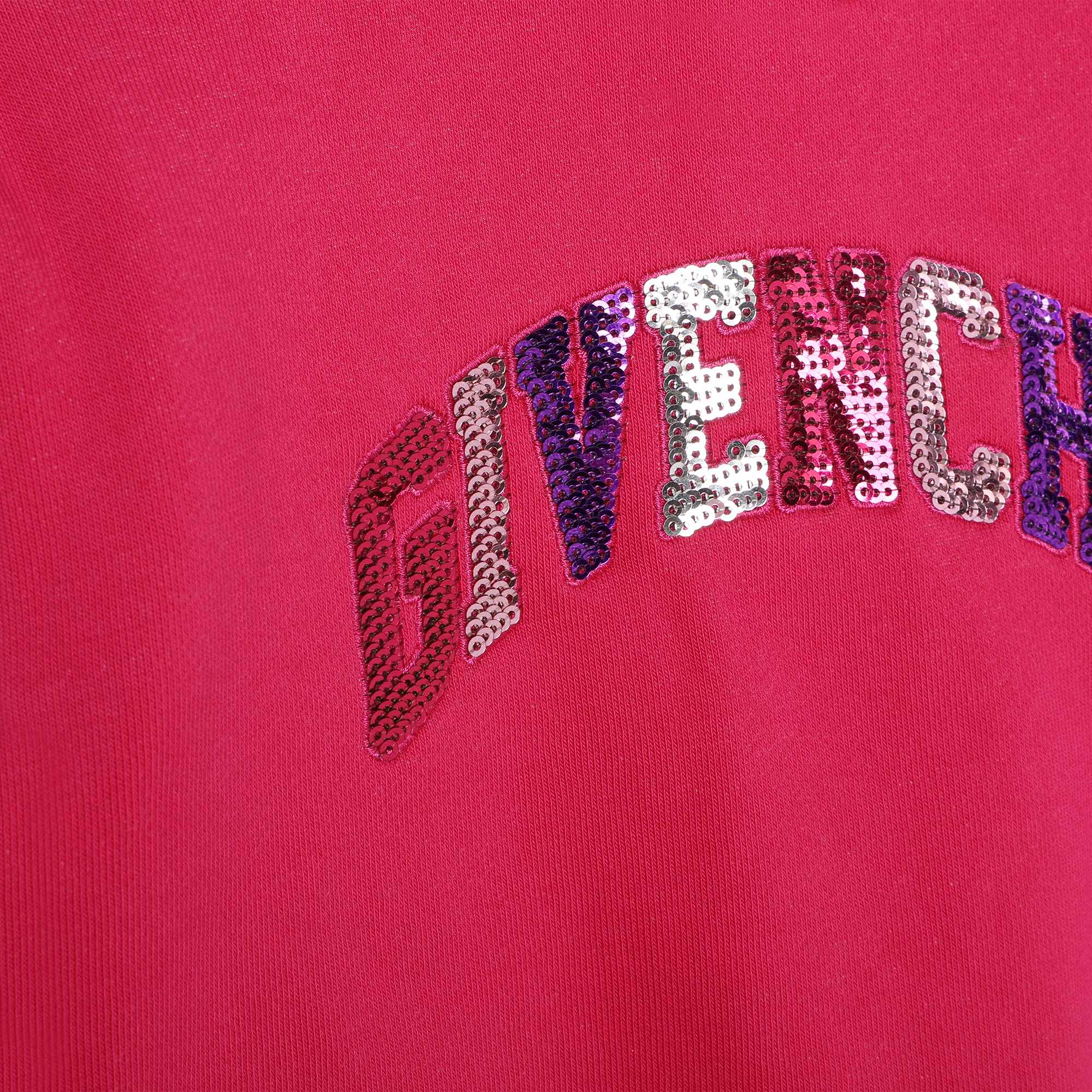 Fleece Sweatshirt with Sequin Embroidery