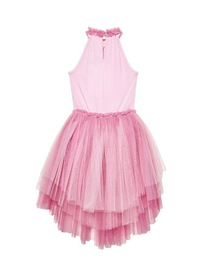 Light Sound Tulle Dress