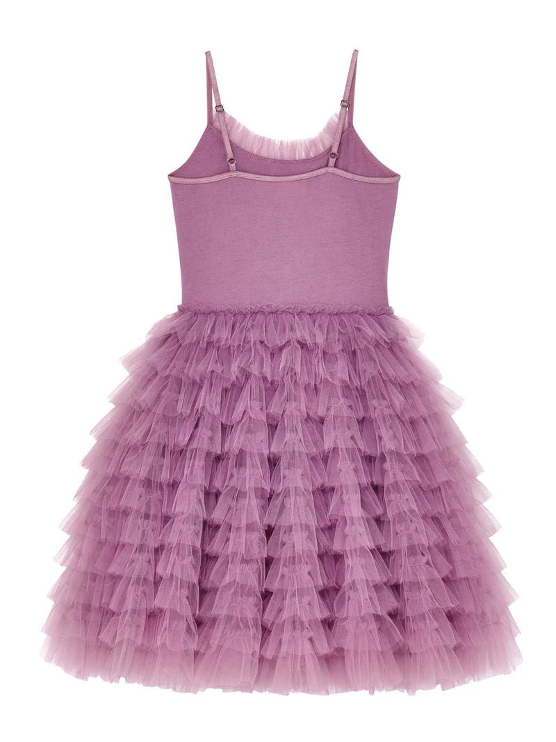 Velvet Vision Tutu Dress